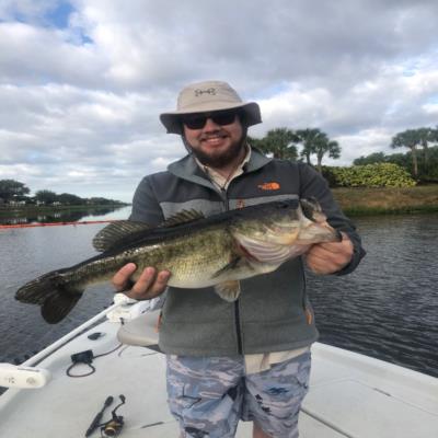 Find-catch-release trophy bass for rewards | TrophyCatch Florida ...