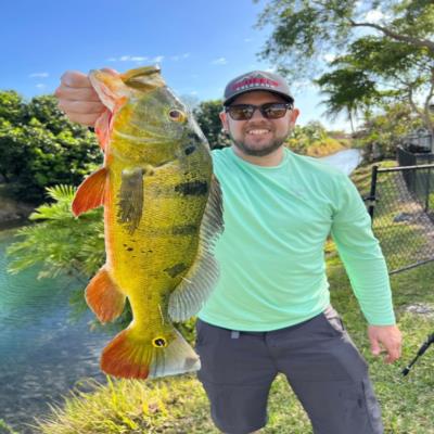 Peacock Bass with Monster Mike