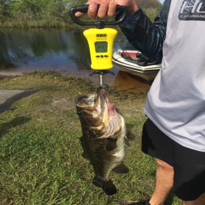 Find-catch-release trophy bass for rewards, TrophyCatch Florida